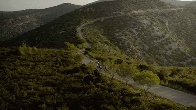 Q1 Newsletter GIF